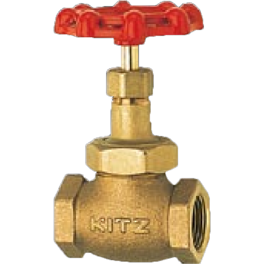 Globe Valve